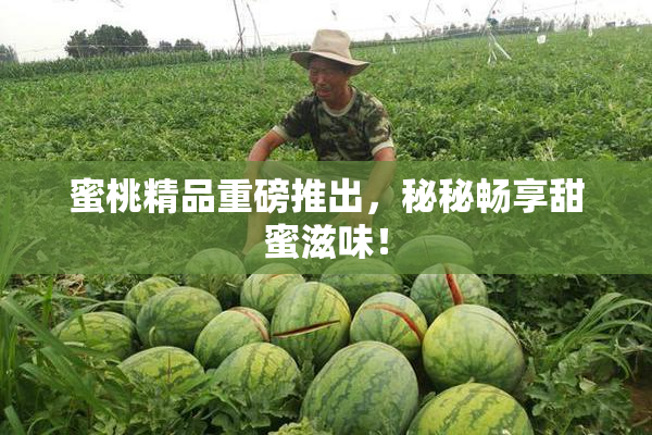蜜桃精品重磅推出，秘秘畅享甜蜜滋味！