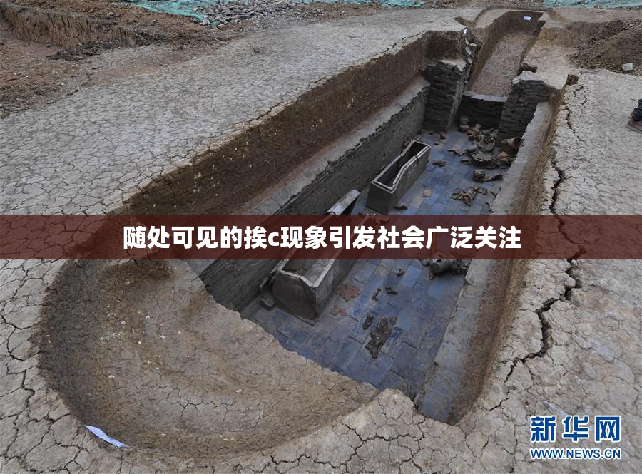 随处可见的挨c现象引发社会广泛关注