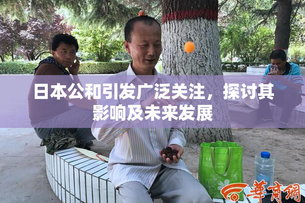 日本公和引发广泛关注，探讨其影响及未来发展