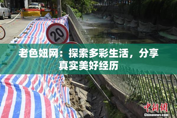 老色妞网：探索多彩生活，分享真实美好经历