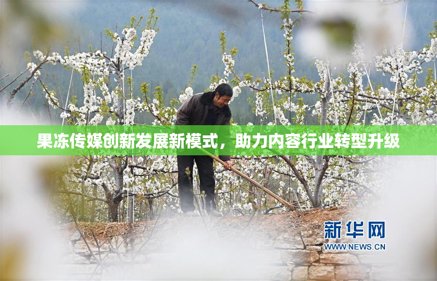果冻传媒创新发展新模式，助力内容行业转型升级
