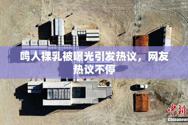 鸣人裸乳被曝光引发热议，网友热议不停