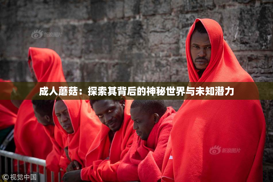成人蘑菇：探索其背后的神秘世界与未知潜力