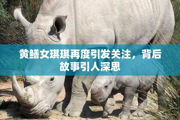 黄鳝女琪琪再度引发关注，背后故事引人深思