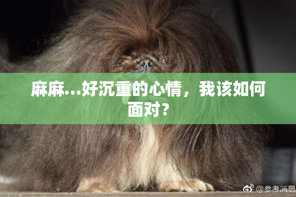 麻麻…好沉重的心情，我该如何面对？