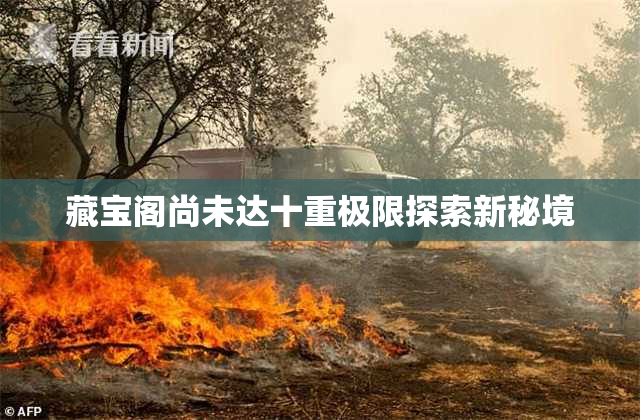 藏宝阁尚未达十重极限探索新秘境