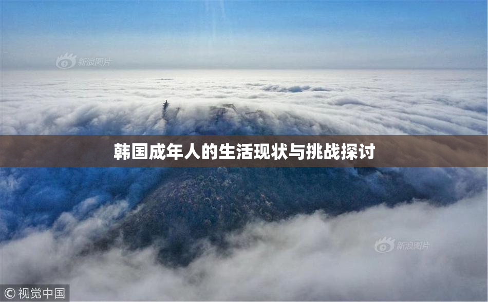 韩国成年人的生活现状与挑战探讨