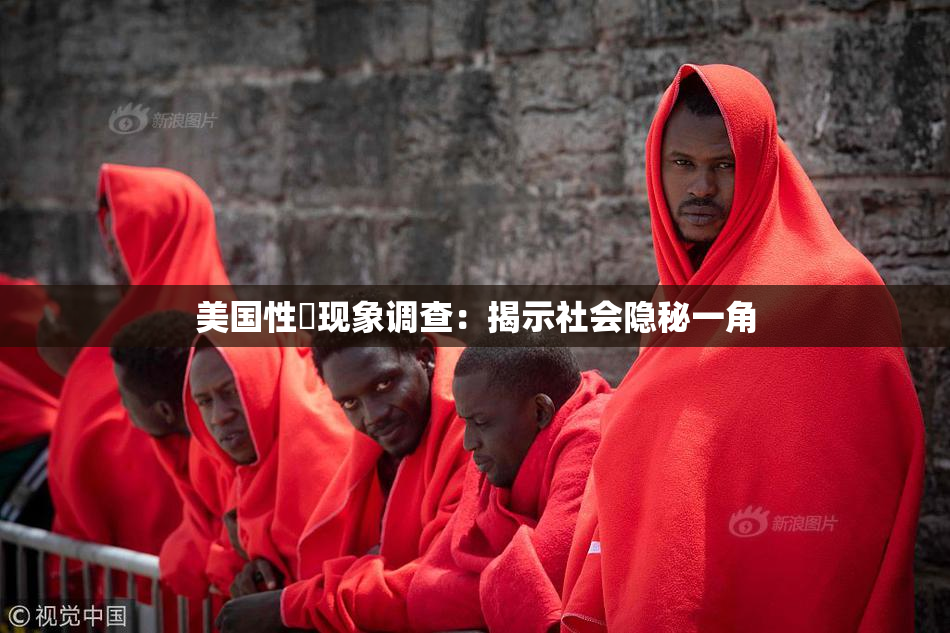 美国性婬现象调查：揭示社会隐秘一角