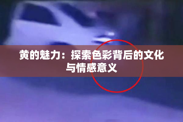 黄的魅力：探索色彩背后的文化与情感意义