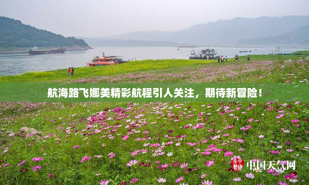 航海路飞娜美精彩航程引人关注，期待新冒险！