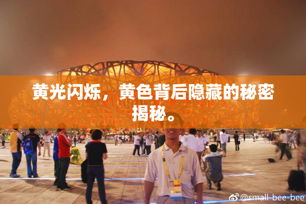 黄光闪烁，黄色背后隐藏的秘密揭秘。