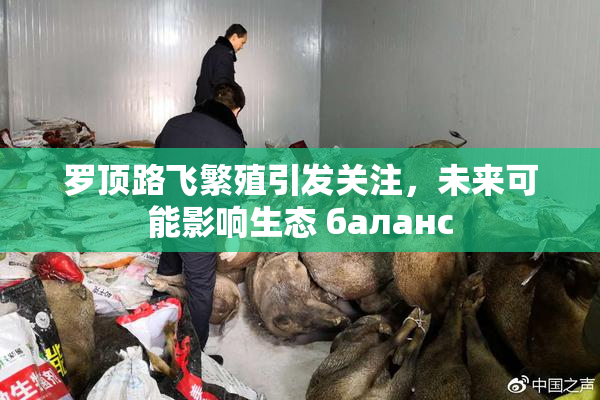 罗顶路飞繁殖引发关注，未来可能影响生态 баланс