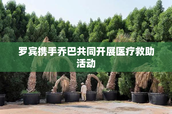罗宾携手乔巴共同开展医疗救助活动