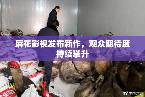 麻花影视发布新作，观众期待度持续攀升