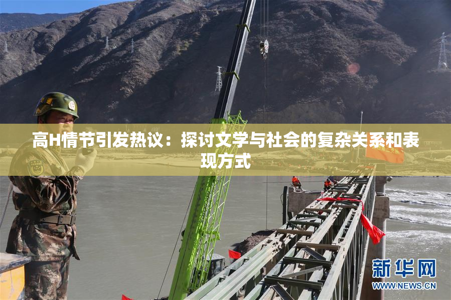 高H情节引发热议：探讨文学与社会的复杂关系和表现方式