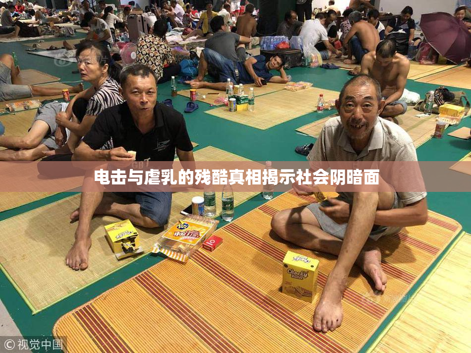电击与虐乳的残酷真相揭示社会阴暗面