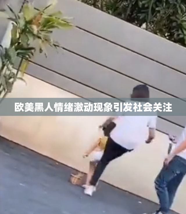 欧美黑人情绪激动现象引发社会关注