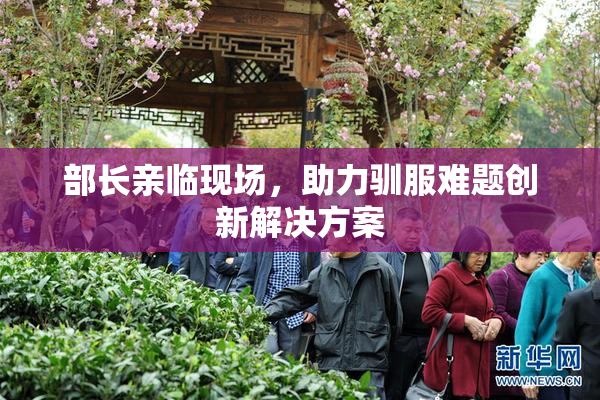 部长亲临现场，助力驯服难题创新解决方案
