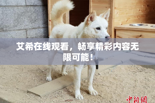艾希在线观看，畅享精彩内容无限可能！