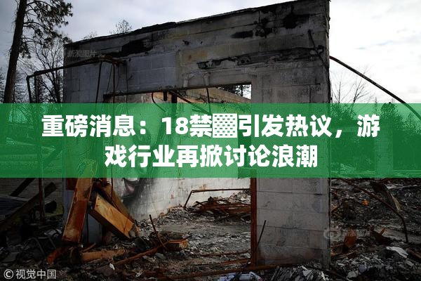 重磅消息：18禁▓引发热议，游戏行业再掀讨论浪潮