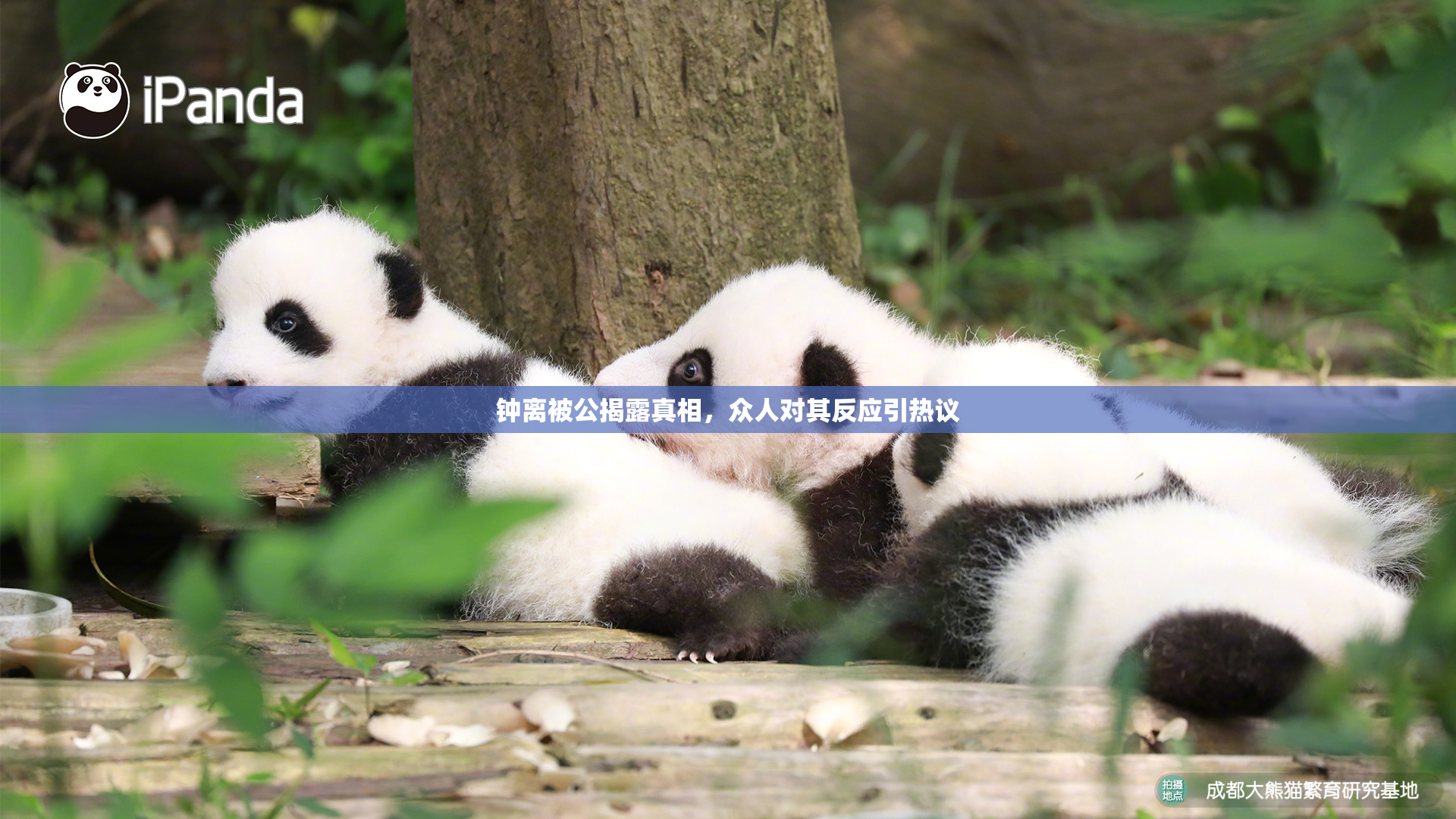 钟离被公揭露真相，众人对其反应引热议