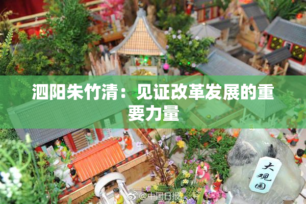 泗阳朱竹清：见证改革发展的重要力量