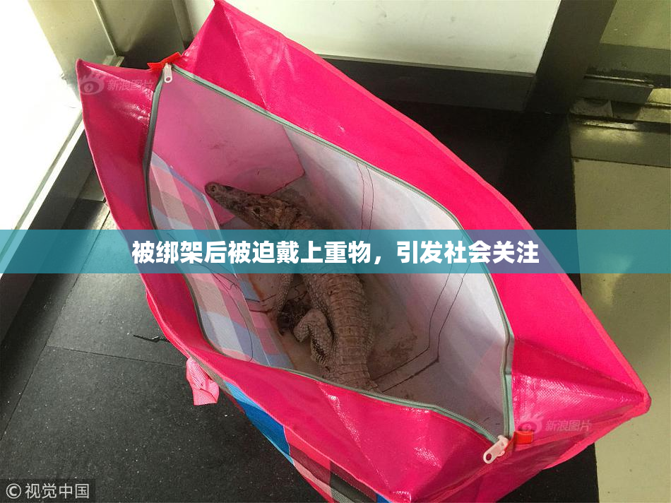 被绑架后被迫戴上重物，引发社会关注