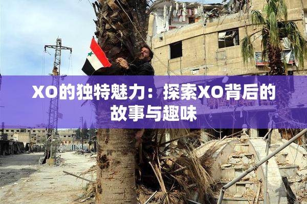 XO的独特魅力：探索XO背后的故事与趣味