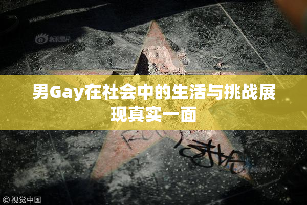 男Gay在社会中的生活与挑战展现真实一面
