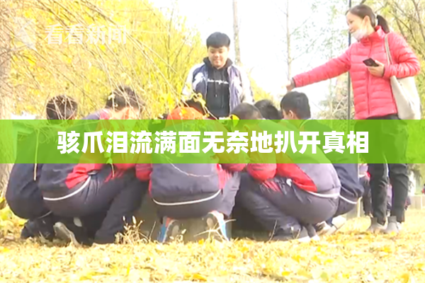 骇爪泪流满面无奈地扒开真相