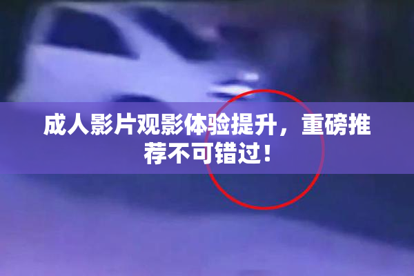 成人影片观影体验提升，重磅推荐不可错过！