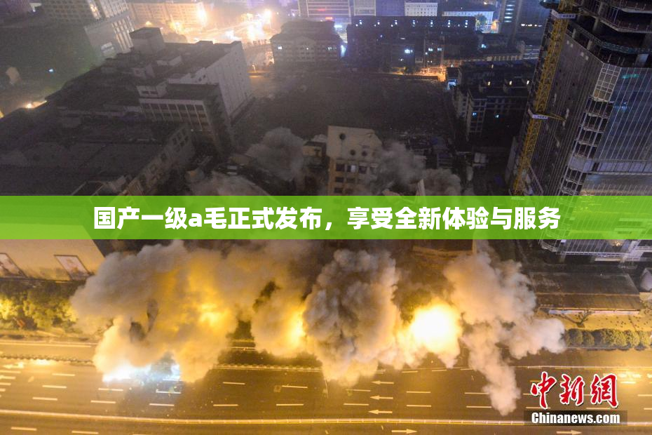 国产一级a毛正式发布，享受全新体验与服务