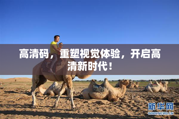 高清码，重塑视觉体验，开启高清新时代！