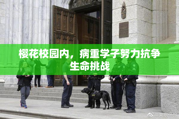 樱花校园内，病重学子努力抗争生命挑战