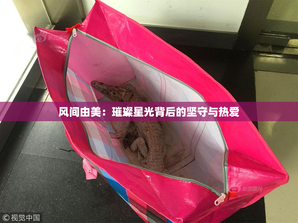 风间由美：璀璨星光背后的坚守与热爱