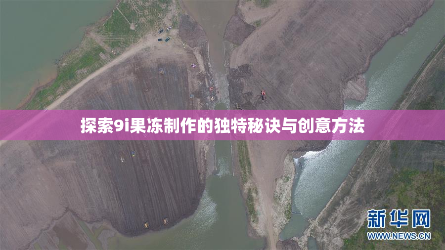探索9i果冻制作的独特秘诀与创意方法