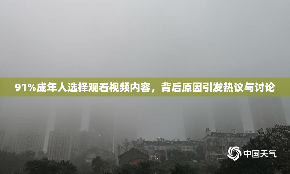 91%成年人选择观看视频内容，背后原因引发热议与讨论