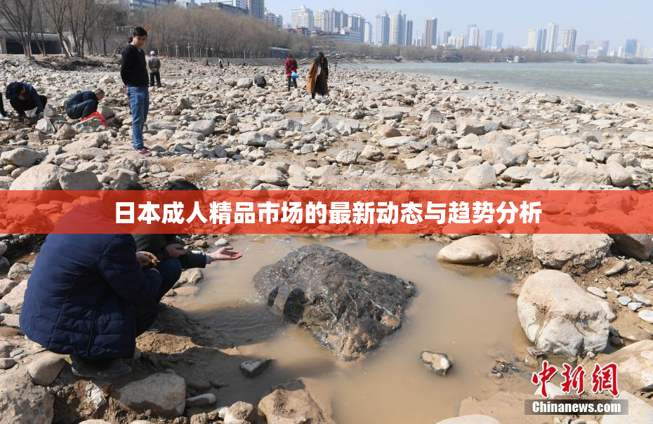 日本成人精品市场的最新动态与趋势分析