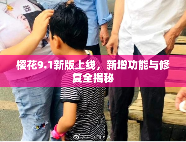 樱花9.1新版上线，新增功能与修复全揭秘