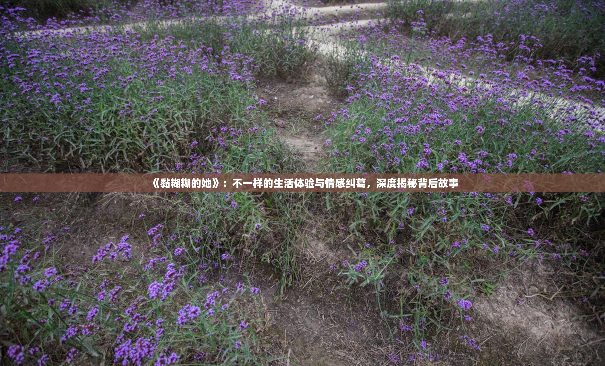 《黏糊糊的她》：不一样的生活体验与情感纠葛，深度揭秘背后故事