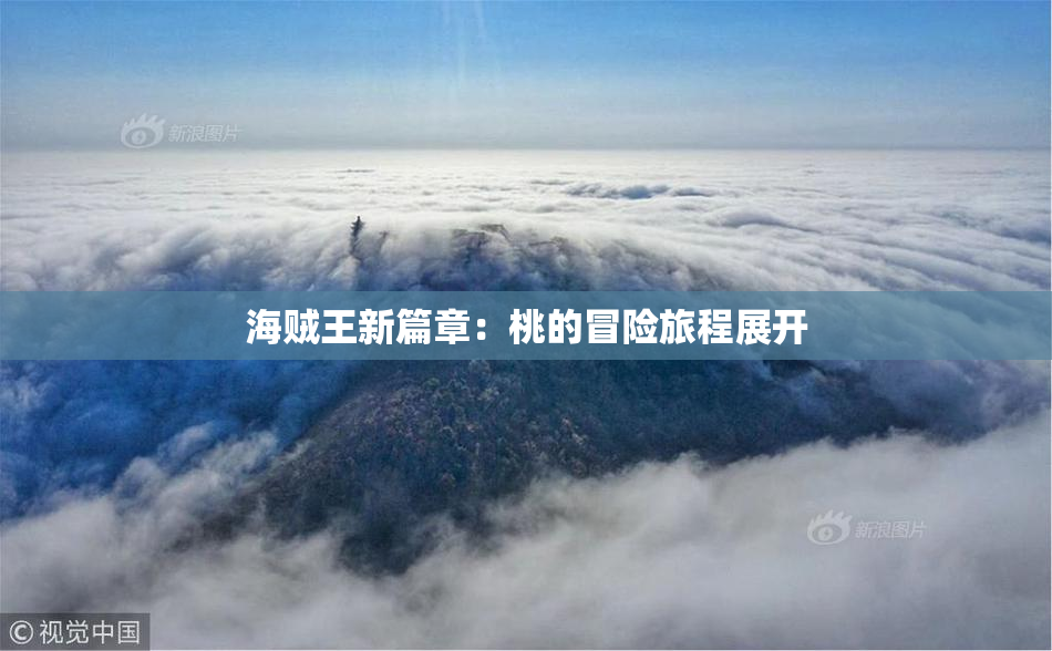 海贼王新篇章：桃的冒险旅程展开