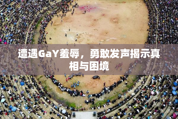 遭遇GaY羞辱，勇敢发声揭示真相与困境