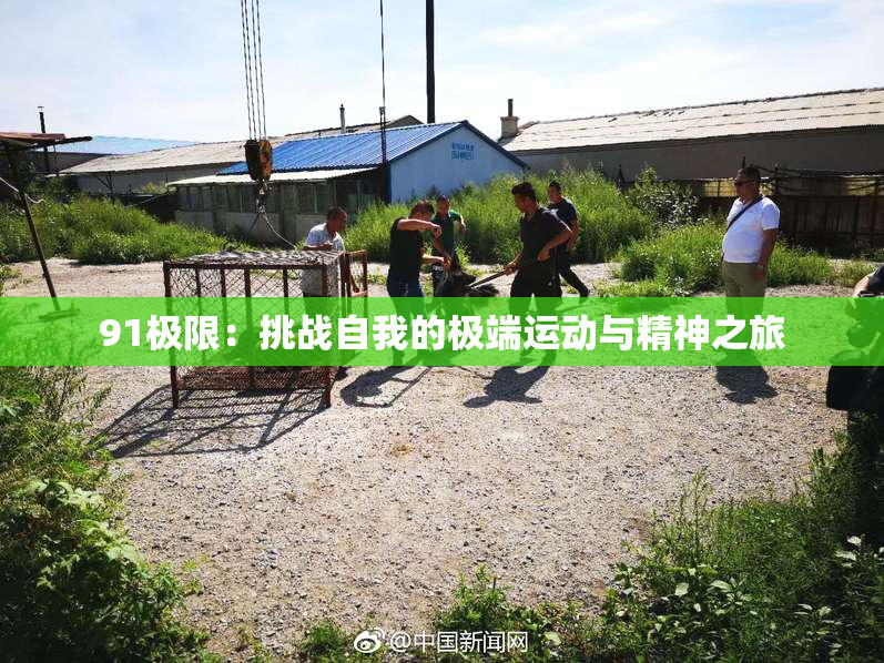 91极限：挑战自我的极端运动与精神之旅