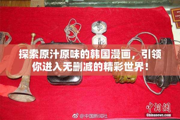 探索原汁原味的韩国漫画，引领你进入无删减的精彩世界！