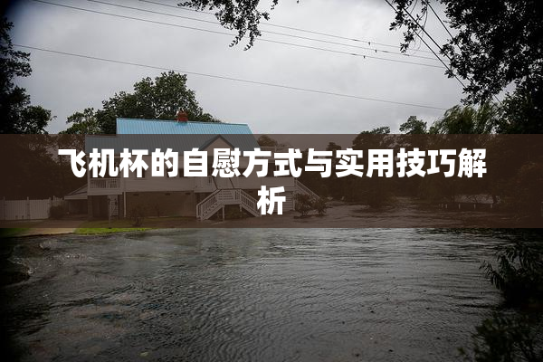 飞机杯的自慰方式与实用技巧解析