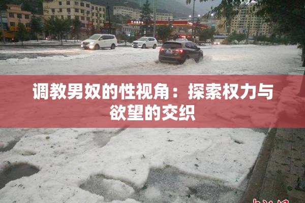 调教男奴的性视角：探索权力与欲望的交织