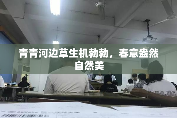青青河边草生机勃勃，春意盎然自然美