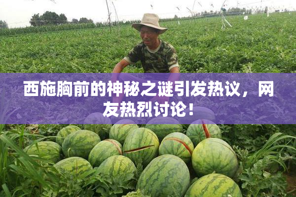 西施胸前的神秘之谜引发热议，网友热烈讨论！