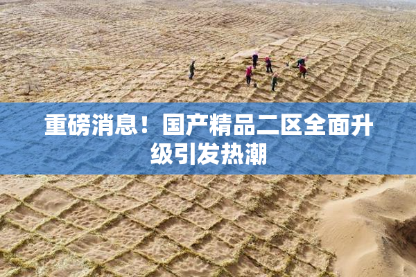重磅消息！国产精品二区全面升级引发热潮