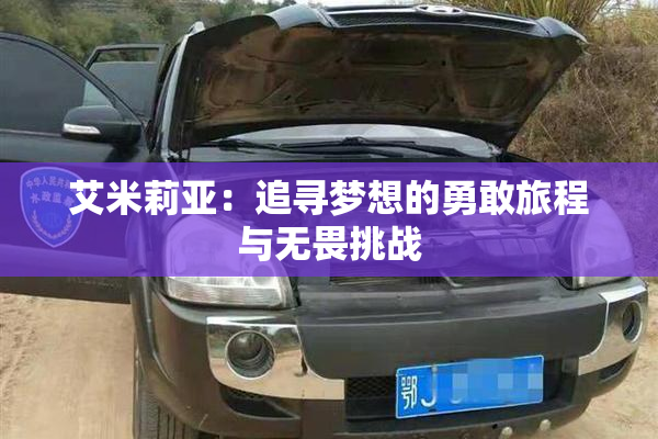 艾米莉亚：追寻梦想的勇敢旅程与无畏挑战